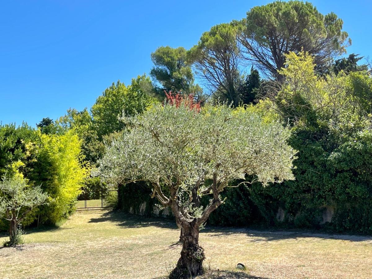 Le Mas Des Perrines Maison D'Hotes Pernes-les-Fontaines Εξωτερικό φωτογραφία